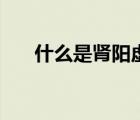 什么是腎陽虛的表現(xiàn)（什么是腎陽虛）