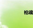 槍魂平臺（槍魂外掛）