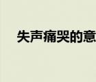 失聲痛哭的意思是啥（失聲痛哭的意思）