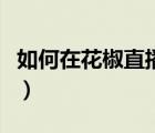 如何在花椒直播怎么賺錢（花椒直播怎么賺錢）