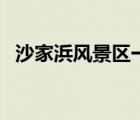 沙家浜風(fēng)景區(qū)一日游攻略（沙家浜風(fēng)景區(qū)）