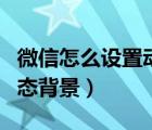 微信怎么設置動態(tài)背景蘋果（微信怎么設置動態(tài)背景）