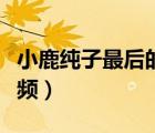 小鹿純子最后的絕招（小鹿純子的幻影旋風視頻）