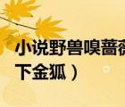 小說野獸嗅薔薇月下金狐簡介（野獸嗅薔薇月下金狐）