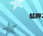艋胛2（艋胛迅雷下載）