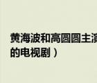 黃海波和高圓圓主演的電視劇叫什么（黃海波和高圓圓主演的電視?。?/>
                                    </a>
                                                </div>
                                    <div   id=