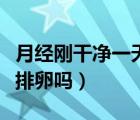 月經(jīng)剛干凈一天會不會懷孕（月經(jīng)剛走一天會排卵嗎）