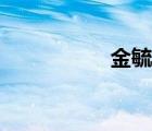 金毓嵐后代（金毓嵐）