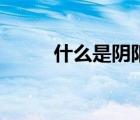 什么是陰陽之術(shù)（什么是陰陽術(shù)）