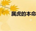 屬虎的本命佛（十二屬相的本命佛）