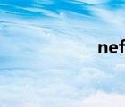 nef級(jí)別板材（nef）
