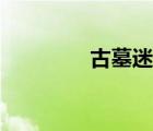 古墓迷蹤攻略（古墓迷蹤）
