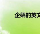 企鵝的英文是qq嗎（企鵝的英文）