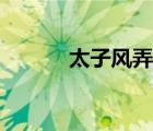 太子風(fēng)弄小說結(jié)局（太子風(fēng)弄）