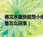 喝完水很快就想小便是怎么回事中醫(yī)（喝完水很快就想小便是怎么回事）