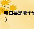 電白縣是哪個省哪個市（電白縣屬于哪個市的）