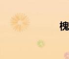 槐鄉(xiāng)在哪（槐鄉(xiāng)）