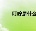 叮嚀是什么意思（DN是什么意思）