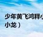 少年黃飛鴻釋小龍版在線觀看（少年黃飛鴻釋小龍）