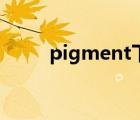 pigment下載最新版（pigment）