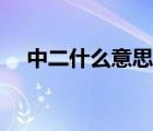 中二什么意思網(wǎng)絡(luò)用語（中二什么意思）