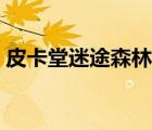 皮卡堂迷途森林有什么用（皮卡堂迷途森林）