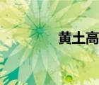 黃土高原地形（高原地形）