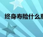 終身壽險(xiǎn)什么意思（大專院校是什么意思）