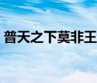 普天之下莫非王土翻譯（普天之下莫非王土）