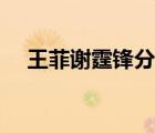 王菲謝霆鋒分手是真的嗎（王菲謝霆鋒）