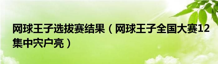 網(wǎng)球王子選拔賽結(jié)果（網(wǎng)球王子全國(guó)大賽12集中宍戶亮）