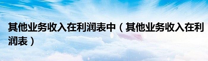 其他業(yè)務(wù)收入在利潤表中（其他業(yè)務(wù)收入在利潤表）
