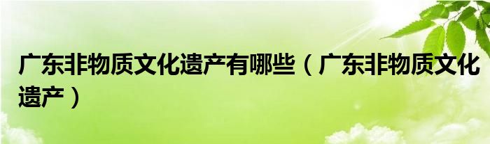廣東非物質(zhì)文化遺產(chǎn)有哪些（廣東非物質(zhì)文化遺產(chǎn)）