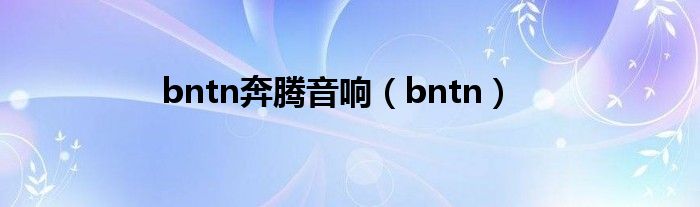 bntn奔騰音響（bntn）