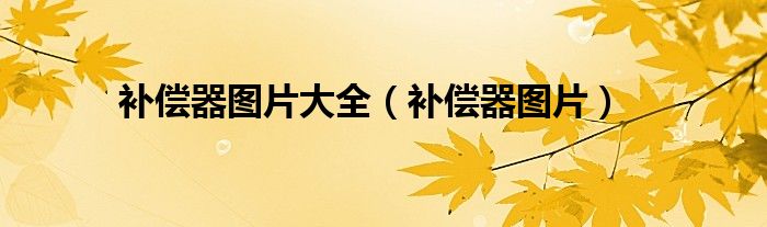 補(bǔ)償器圖片大全（補(bǔ)償器圖片）