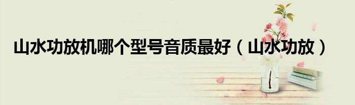 山水功放機(jī)哪個(gè)型號音質(zhì)最好（山水功放）