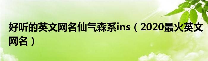 好聽(tīng)的英文網(wǎng)名仙氣森系ins（2020最火英文網(wǎng)名）