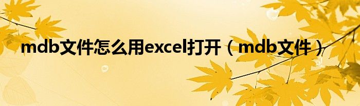 mdb文件怎么用excel打開（mdb文件）