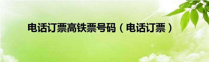 電話訂票高鐵票號(hào)碼（電話訂票）