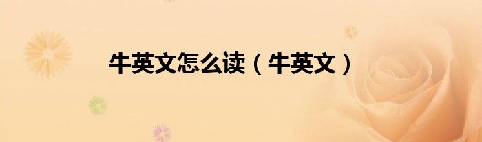 牛英文怎么讀（牛英文）