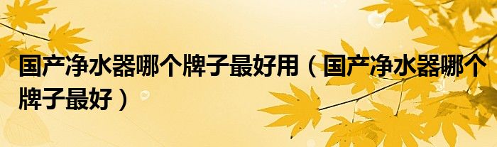 國產(chǎn)凈水器哪個牌子最好用（國產(chǎn)凈水器哪個牌子最好）