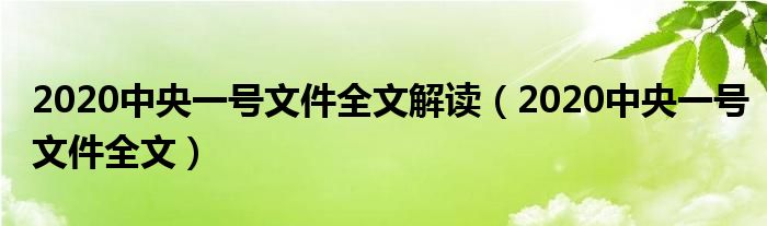 2020中央一號文件全文解讀（2020中央一號文件全文）