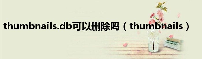 thumbnails.db可以刪除嗎（thumbnails）