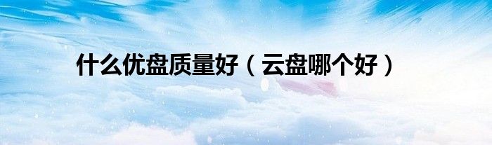 什么優(yōu)盤質(zhì)量好（云盤哪個(gè)好）