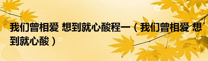 我們曾相愛 想到就心酸程一（我們曾相愛 想到就心酸）