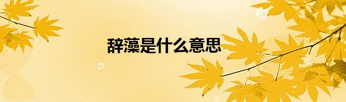 辭藻是什么意思