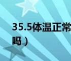 35.5體溫正常嗎有點頭暈（35.5℃體溫正常嗎）
