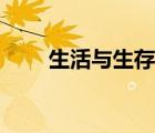生活與生存經(jīng)典句子（生活與生存）