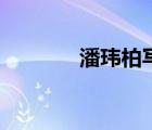 潘瑋柏寫歌（潘瑋柏抄襲門）