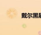 戴爾黑屏有聲音（戴爾黑屏）